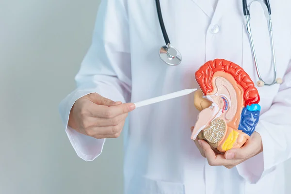 Transplant Nephrology